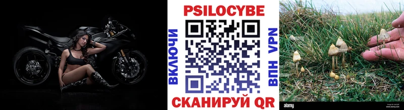 MEGA онион купить наркотик Ардон Псилоцибиновые грибы Magic Shrooms