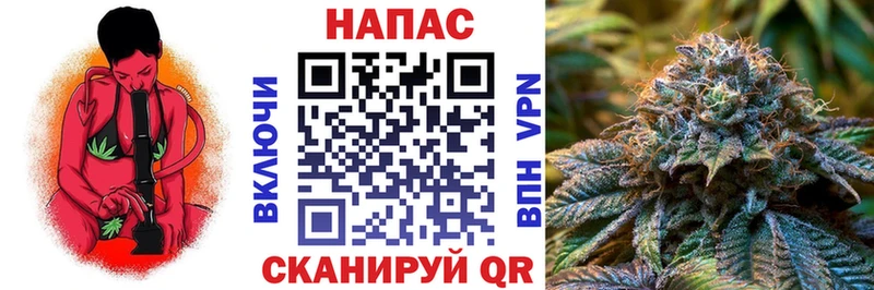 МАРИХУАНА SATIVA & INDICA  Ардон 